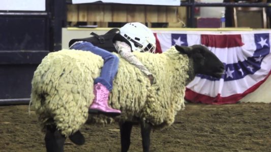 Mutton Bustin’ Registration Is Coming Up