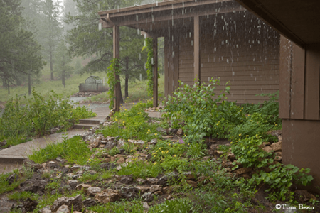 Rain helps crews battle wildfire near Flagstaff