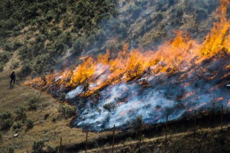 Plan to slow Western wildfires would clear strips of land