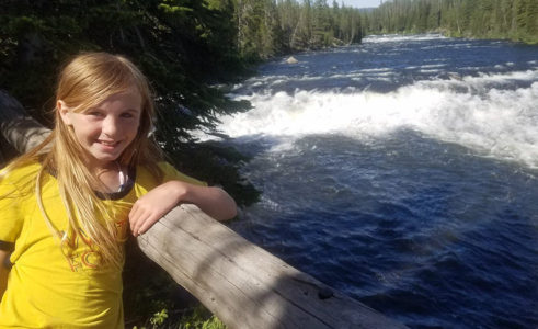 Idaho girl falls from tree, is impaled in head by steel bar