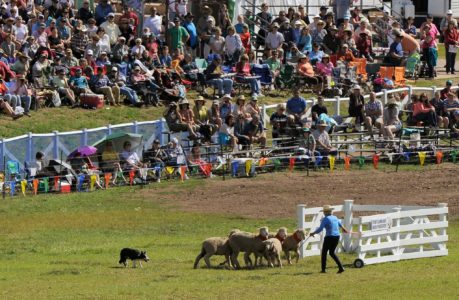 Soldier Hollow Classic is going to the dogs.