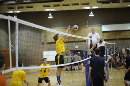 Wasatch High School Boys Fall Club Volleyball Tryouts Slated For September 14