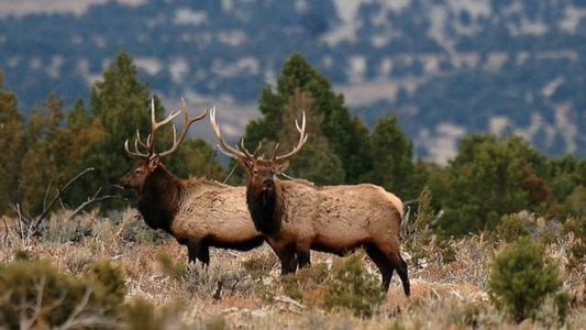 New Laws Impact Hunting, Other Outdoor Activities