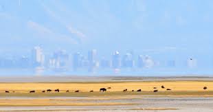 Hiker injured when charged by bison at Utah park on island