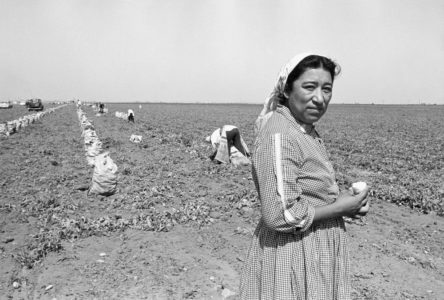 Film explores mystery of Latina union leader who disappeared