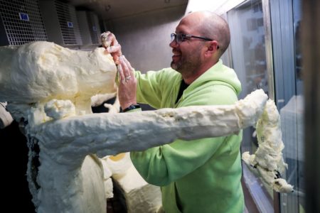 They’re Michelangelos of cow