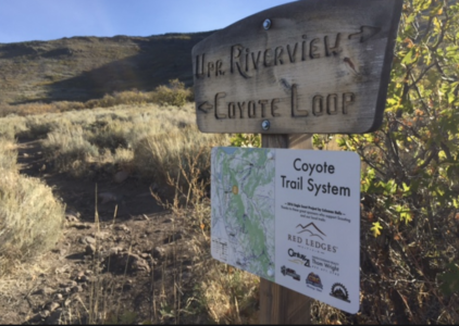 Coyote Trail Mountain Biker identified