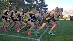 Wasatch Girls Place 8th, Boys 17th, At 5-A State Cross Country Championships At Soldier Hollow