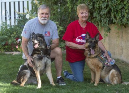 Retired Utah war dogs continue to save and heal lives