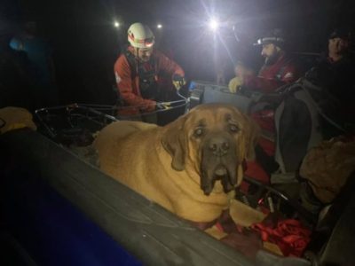 190-pound dog rescued from Utah canyon by first responders