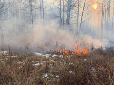 Uinta-Wasatch-Cache National Forest Updates Ladder Fire Status