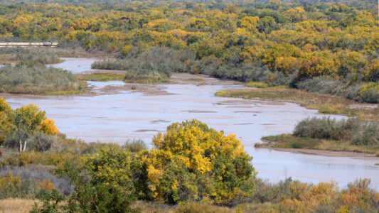 gbs102518j/ASEC -- The Rio Grande flows near the Albuquerque bosque on Thursday, October 25, 2018.(Greg Sorber/Albuquerque Journal