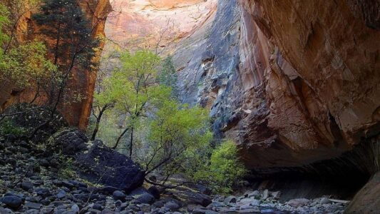 Missing Teen Rescued In Zion National Park