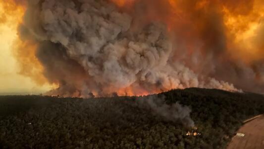 As forests burn around the world, drinking water is at risk