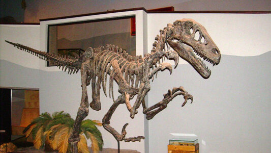 UtahRaptor State Park Opens to Public