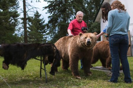 Montana sheriff says hiker killed, grizzly bear suspected