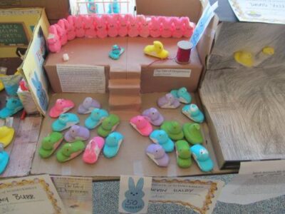 Wasatch County Library To Still Conduct Peeps Show