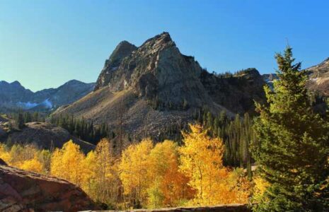 Man dies after fall in Utah’s Big Cottonwood Canyon