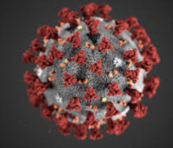 Wasatch County Health Extends Stay Home Order