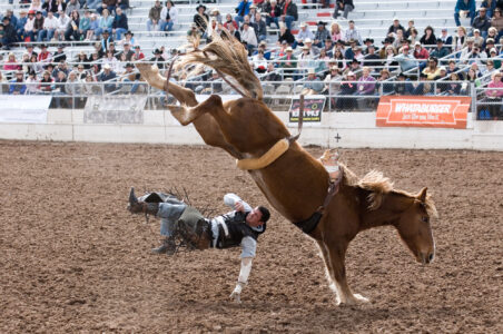 Stetson Herrera, of Magdalena, New Mex.,  loses his seat on Comanche Moon on on the second day of the 85th annual Fiesta de los Vaqueros.