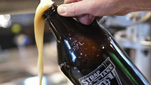 Referendum challenging Provo brewpub license falls short