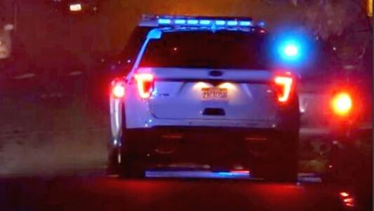 Woman Dies After Being Hit Saturday Night; Driver Is In Custody