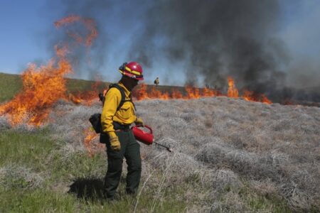 Forest Service Investing $18-Million To Curb Utah Wildfire Risk