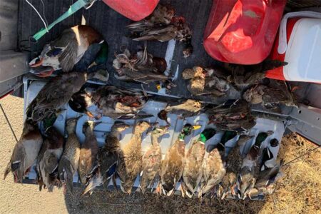 Help sought in duck wasting case