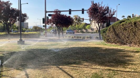 Las Vegas pushes to become first to ban ornamental grass