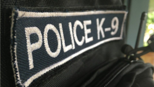 Salt Lake City K-9 Officer Charged in Second Biting Incident