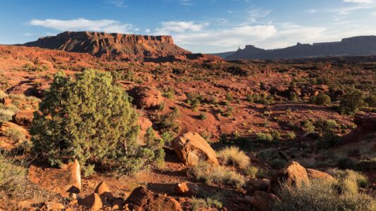New ‘Utahraptor’ State Park to Protect Dino Bones, History