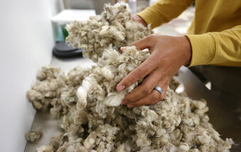 Lab technician Derek Richins mixes wool from 16 bales, from the same farm, to ensure a random selection at Wasatch Wool Laboratories in Midvale, Utah, on Tuesday, April 27, 2021. (Kristin Murphy/The Deseret News via AP)