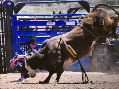 Family says teen stomped by bull at rodeo recovering well