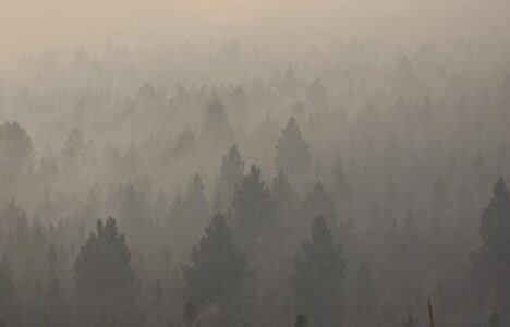 Gaps in wildfire smoke warning network leave people exposed