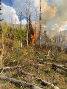 Uinta-Wasatch-Cache National Forest Confirms Right Fork Pinyon Fire
