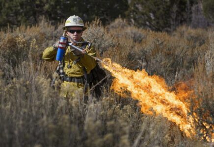 Controlled burn plans in works for 3 Utah national forests