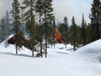 Ranger District Burn