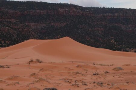 Boy dies after being buried under sand dune at state park