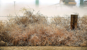 FILE -  Wind blows dust and tumbleweeds against a fence east of the Comanche Power Plant, Tuesday, March 18, 2014 near Pueblo, Colo. A search is underway for two workers buried in a coal pile at a southern Colorado power plant. Witnesses said the workers were buried in a slide on the 80-foot-tall coal pile at the Comanche Generating Station in Pueblo on Thursday, June 2 ,2022. (Chris McLean/The Pueblo Chieftain via AP, File)
