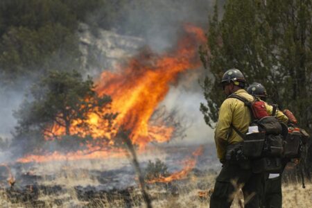 Labor shortage compounds federal firefighters’ staffing woes