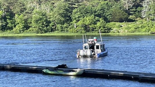 Body found in search for 6-year-old boy whose mother drowned trying to rescue him from Massachusetts river