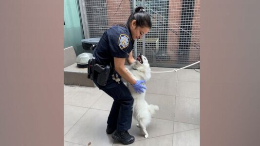 New York Police Department officer adopts dog she rescued from hot car