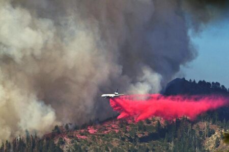 Yosemite Wildfire Grows, but Giant Sequoias Remain Protected