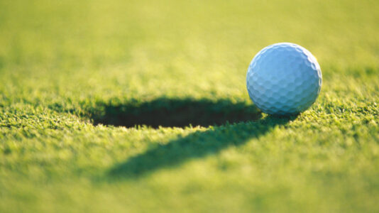 Tiger Woods, Rory McIlroy team up for new virtual PGA tournament