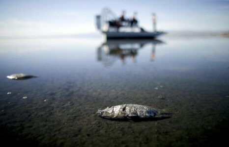 Arizona’s Sen Kelly slams California on Colorado River use