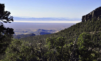 This undated image provided by the Southern Utah Wilderness Alliance, pinyon pine and juniper trees grow on a mountain range north of Sevier Lake in Millard County, Utah. Environmentalists filed a lawsuit on Monday, July 31, 2023, to prevent the construction of a new potash mine that they say would devastate a lake ecosystem in the drought-stricken western Utah desert. (Southern Utah Wilderness Alliance via AP)