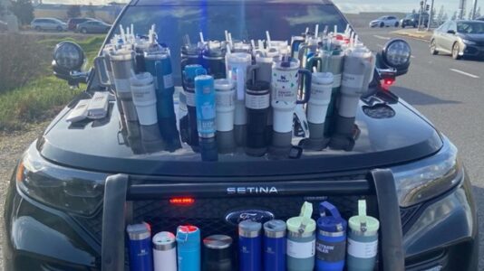 Woman arrested for allegedly stealing over 65 Stanley drinking cups