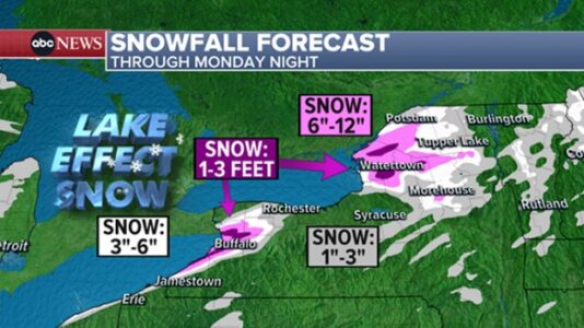 Arctic blast hits US bringing life-threatening cold, South braces for snowstorm