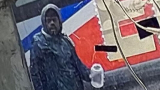 Police hunting suspect who lit man on fire in broad daylight just a mile away from US Capitol