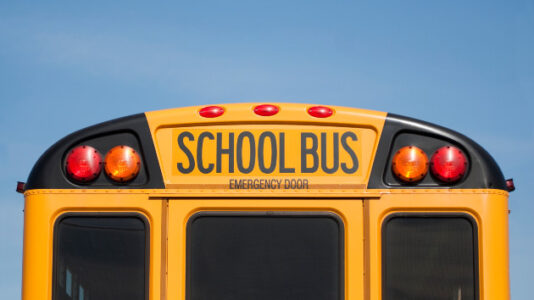 Eight-year-old girl fatally struck by vehicle while boarding her school bus